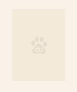 真千金疯狂掉马,全家跪求原谅 真千金疯狂掉马,全家跪求原谅