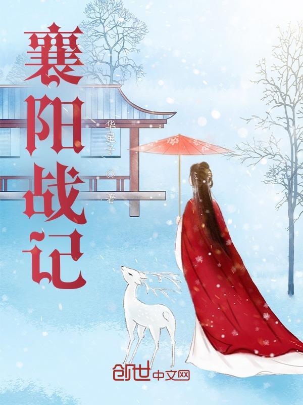 襄阳战记 襄阳战记